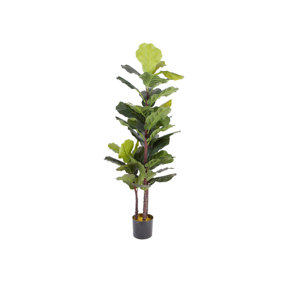 Planta Artificial Baylor - Verde y Negro - Tugow