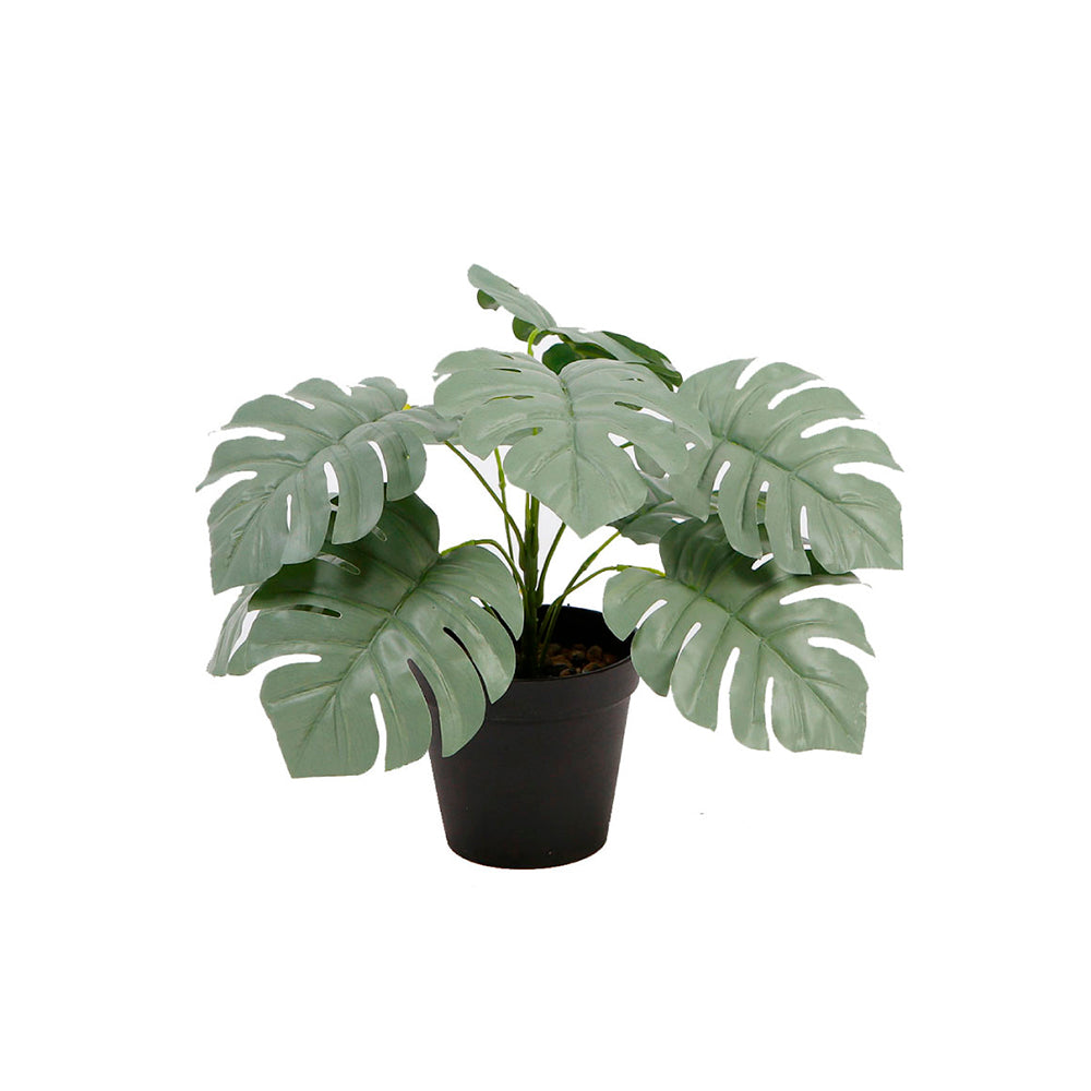 Planta Artificial Dangelo - Verde y Negro - Tugow