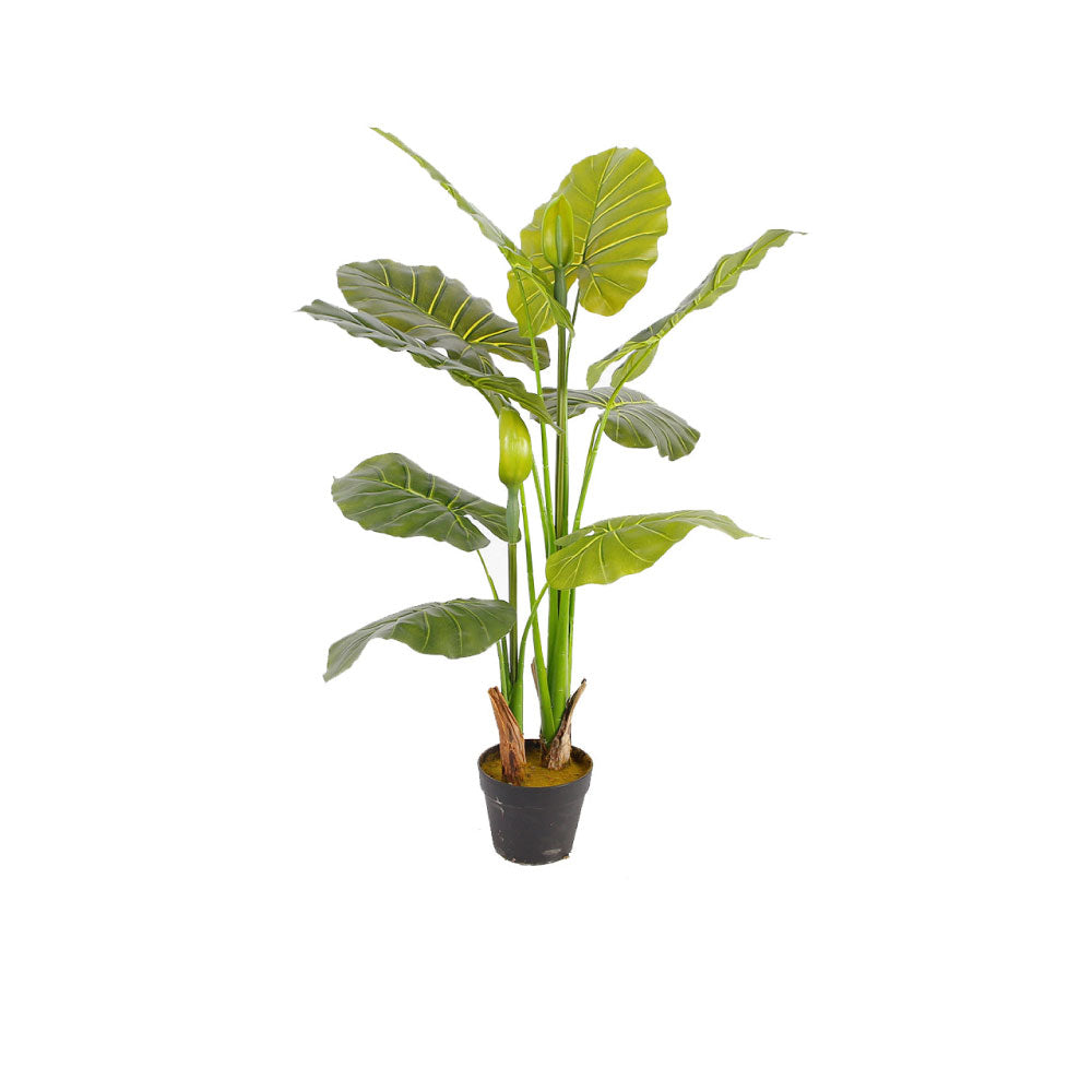 Planta Artificial Dash - Verde y Negro - Tugow
