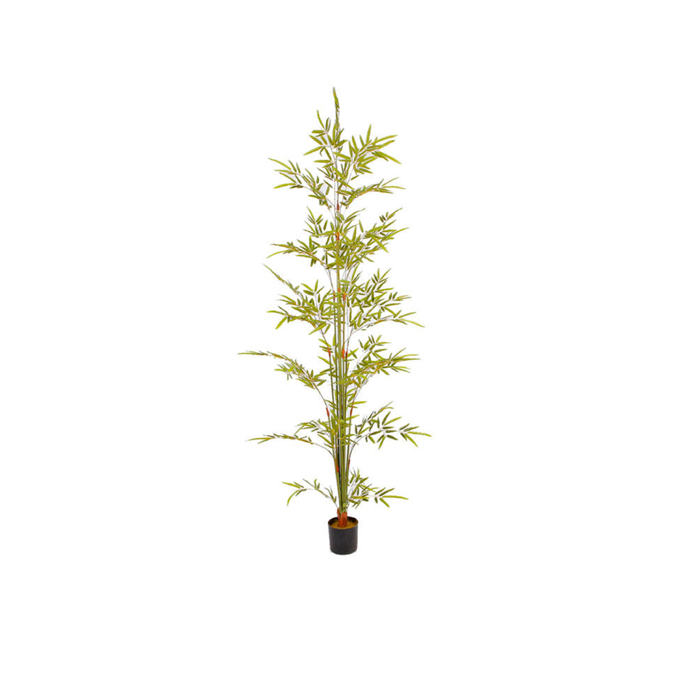 Planta Artificial Maddux - Verde y Negro - Tugow