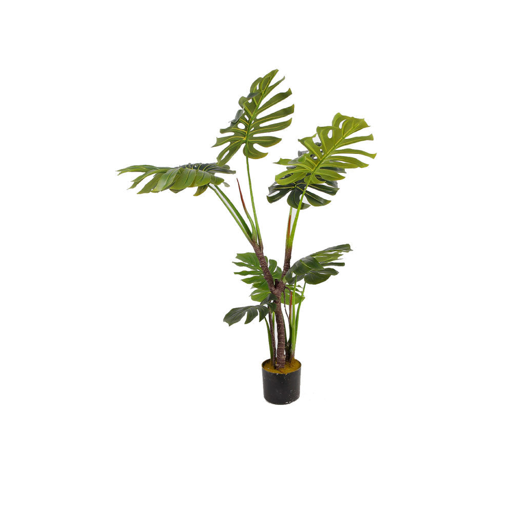 Planta Artificial Mason - Verde y Negro - Tugow
