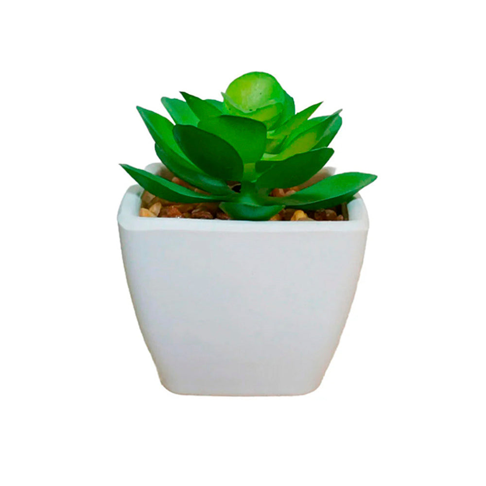 Planta Artificial Peyton - Verde y Blanco - Tugow