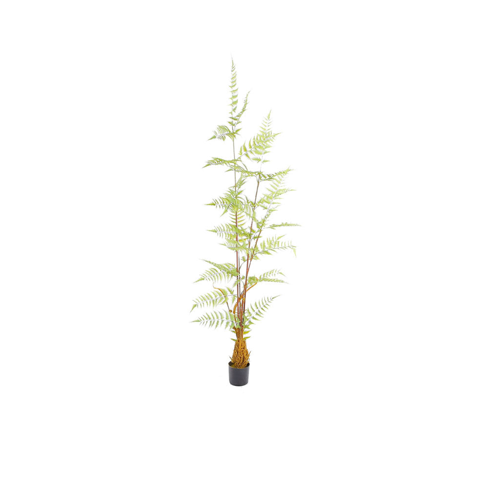 Planta Artificial Chinie - Verde y Negro - Tugow