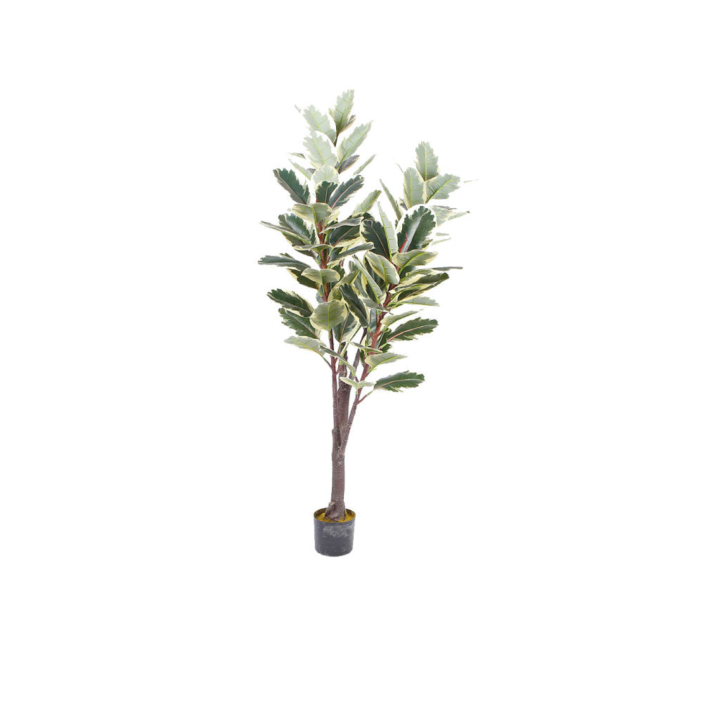 Planta Artificial Finney - Verde y Negro - Tugow