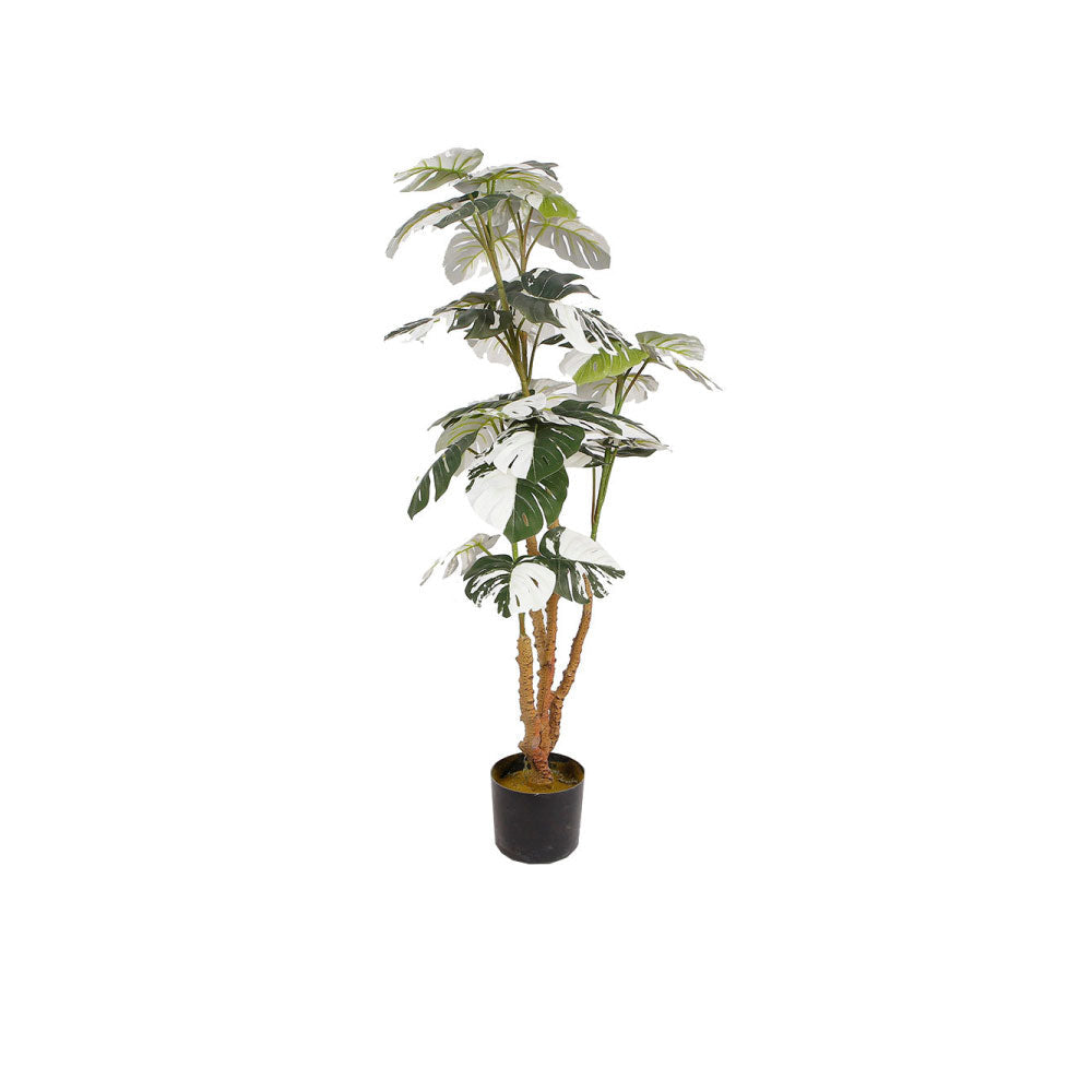 Planta Artificial Monstie - Verde y Negro - Tugow