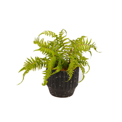 Helecho Artificial Bobby - Verde y Negro - Tugow