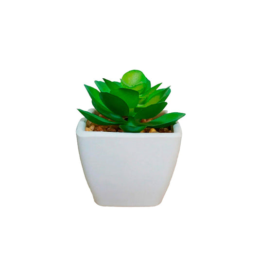 Planta Artificial Peyton - Verde y Blanco - Tugow