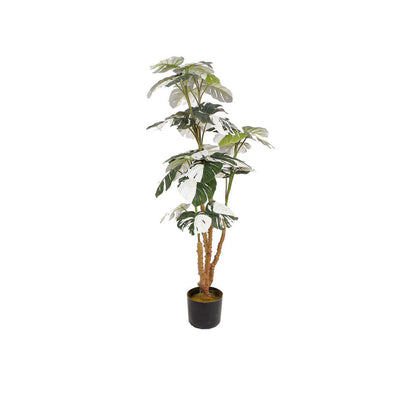 Planta Artificial Monstie - Verde y Negro - Tugow