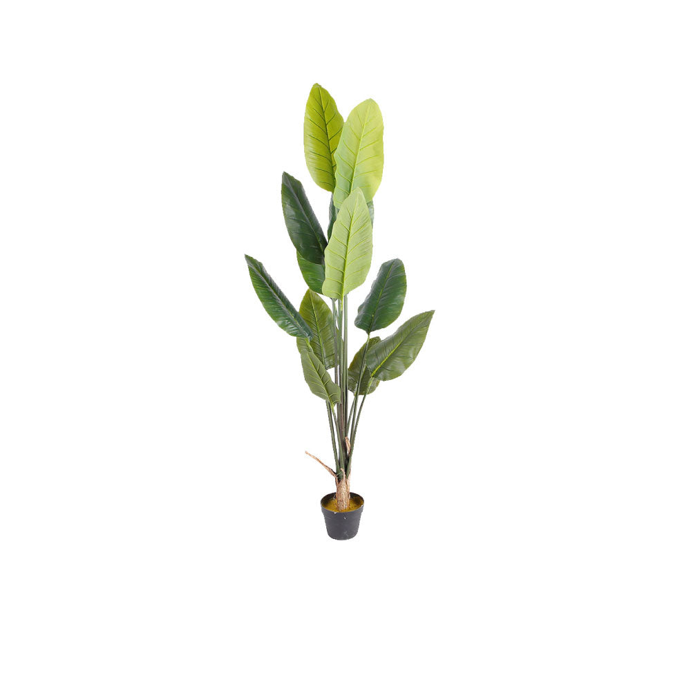 Planta Artificial Tatch - Verde y Negro - Tugow